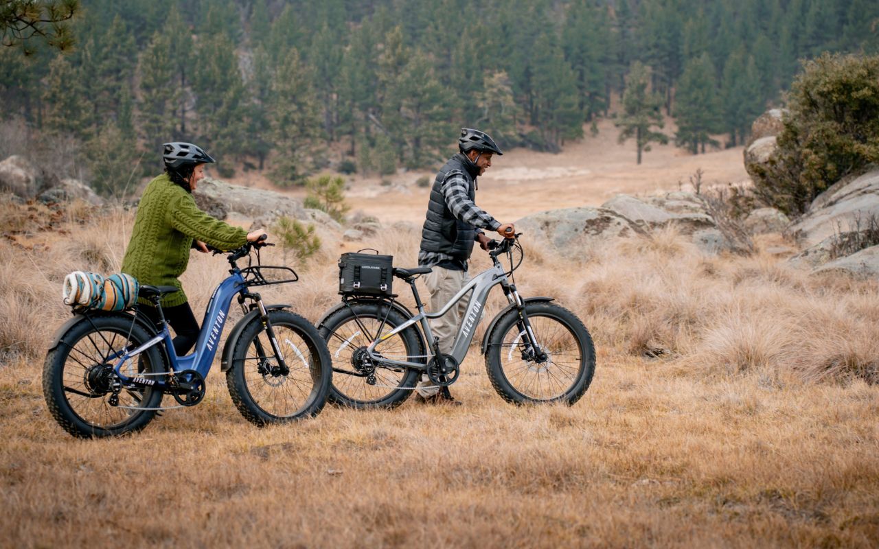 fat tire bike store