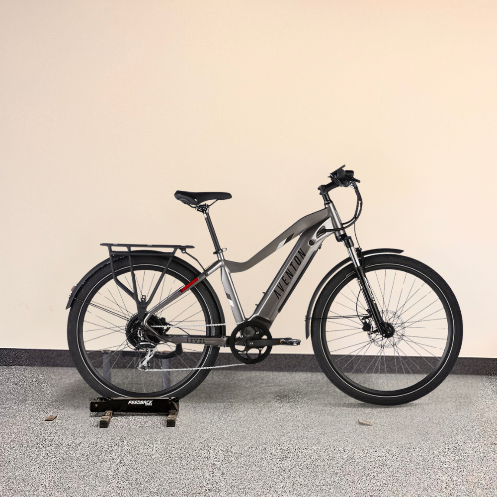 Level 2 Commuter Ebike