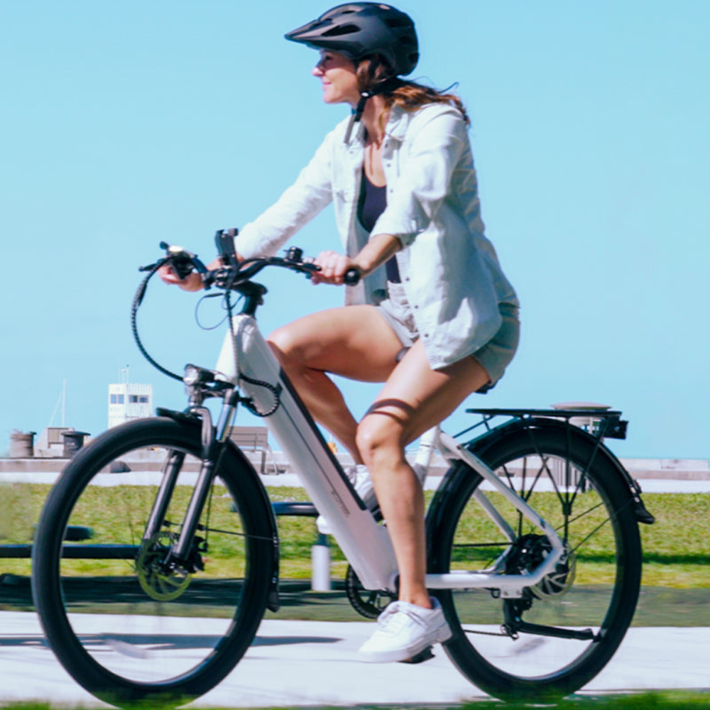 EZbike Canada : Blutron EB650 E-Bike