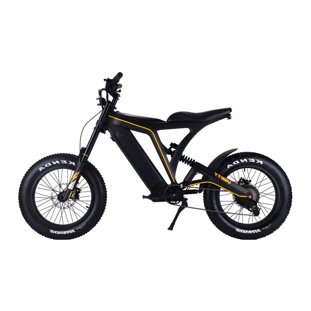 EZbike Canada : Eagle E-Bike