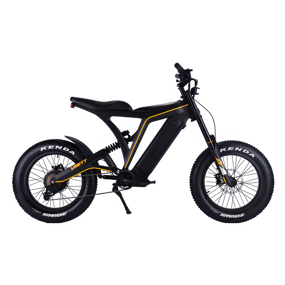 EZbike Canada : Eagle E-Bike