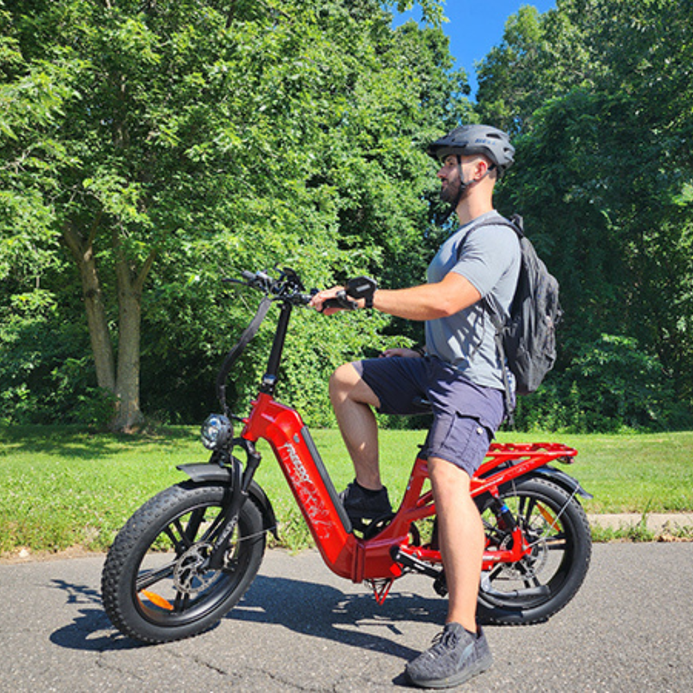 EZbike Canada : Freesky Boulevard F-2880 E-Bike