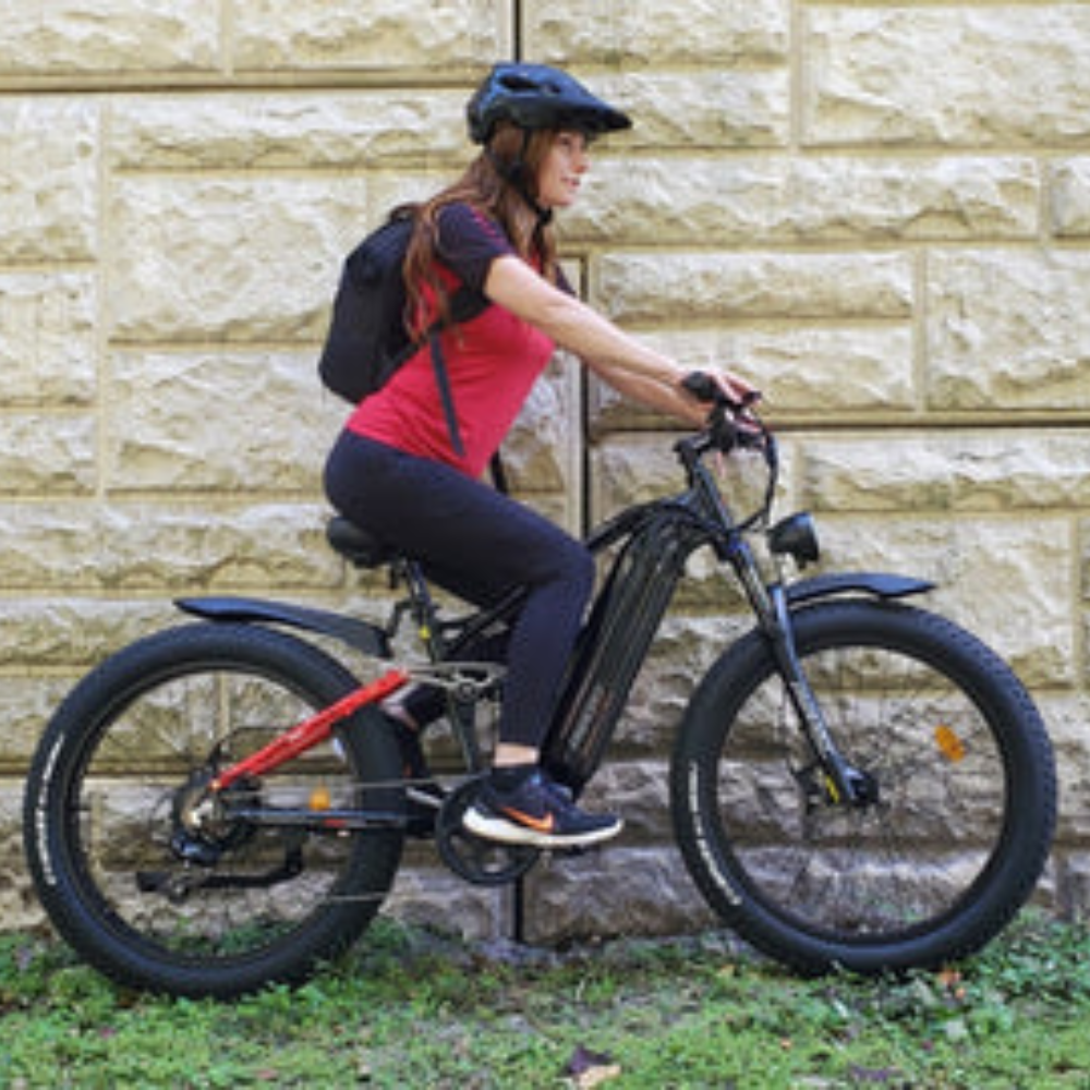 EZbike Canada : Freesky Eurostar M-410 E-Bike