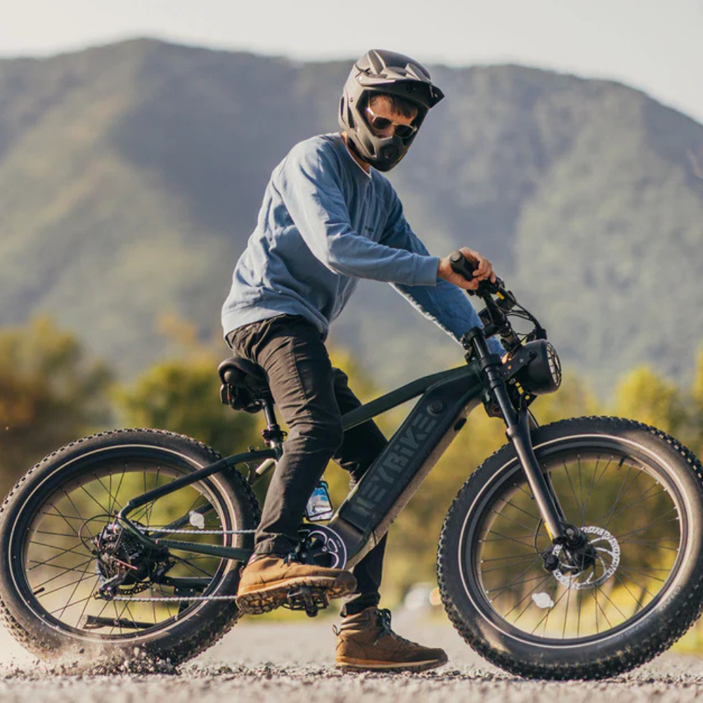 EZbike Canada : Heybike Brawn E-Bike