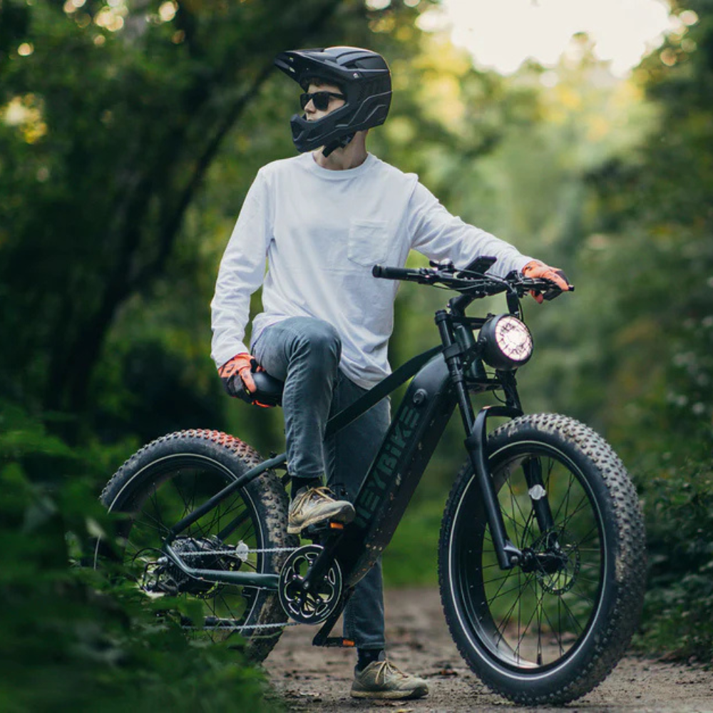 EZbike Canada : Heybike Brawn E-Bike