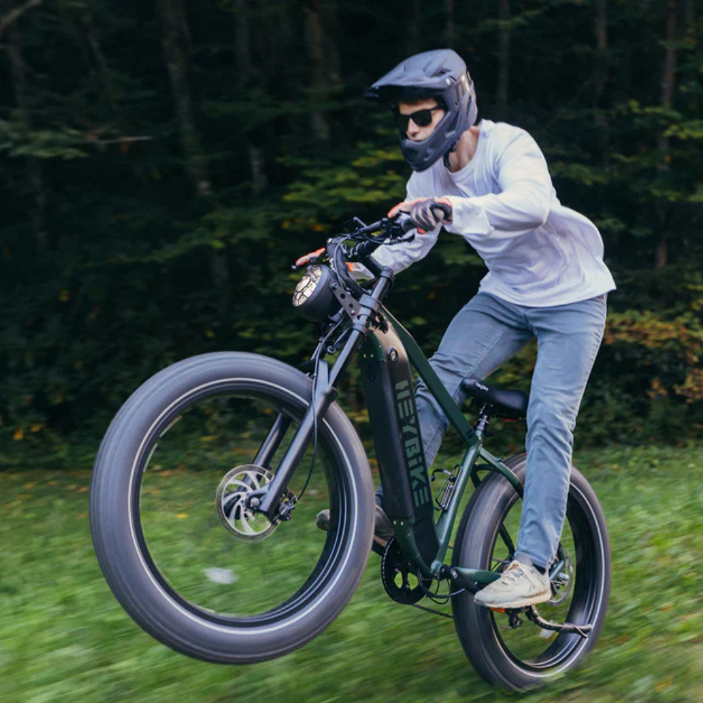 EZbike Canada : Heybike Brawn E-Bike