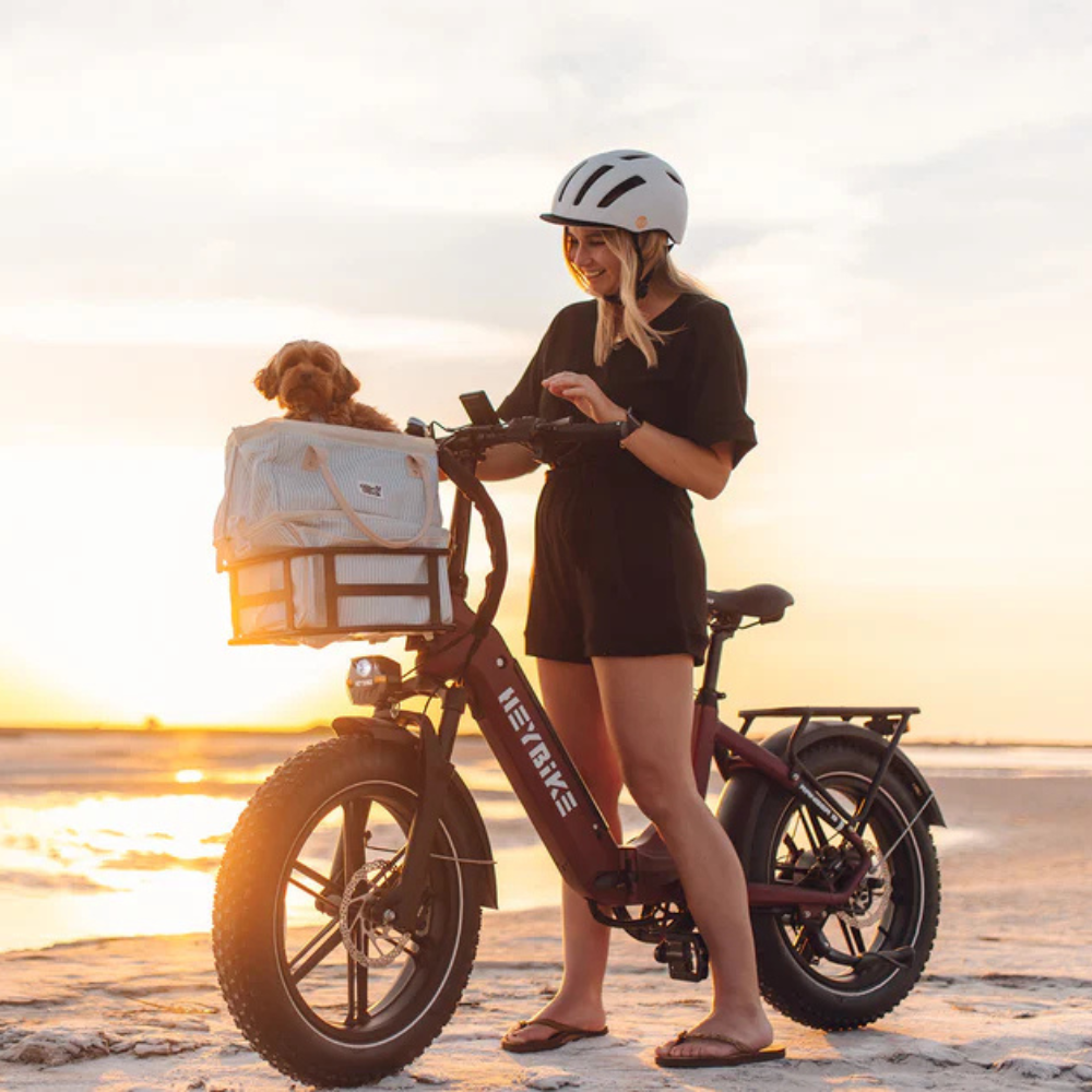 EZbike Canada : Heybike Ranger S E-Bike