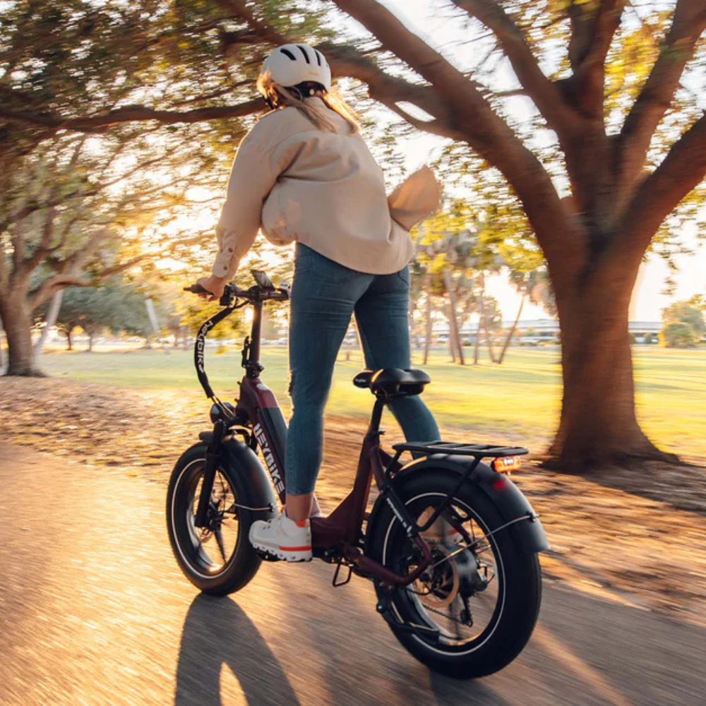 EZbike Canada : Heybike Ranger S E-Bike