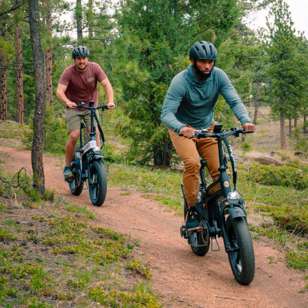 EZbike Canada : Heybike Tyson E-Bike