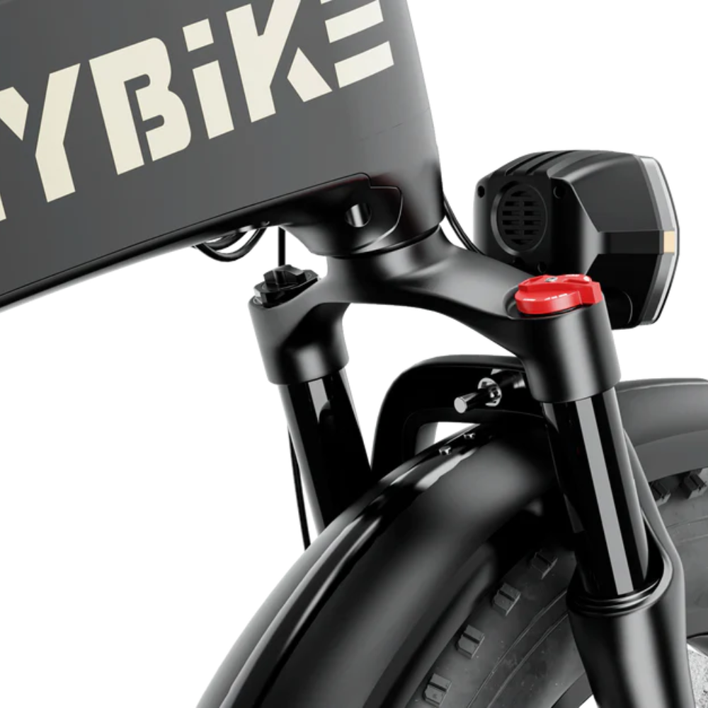 EZbike Canada : Heybike Tyson E-Bike