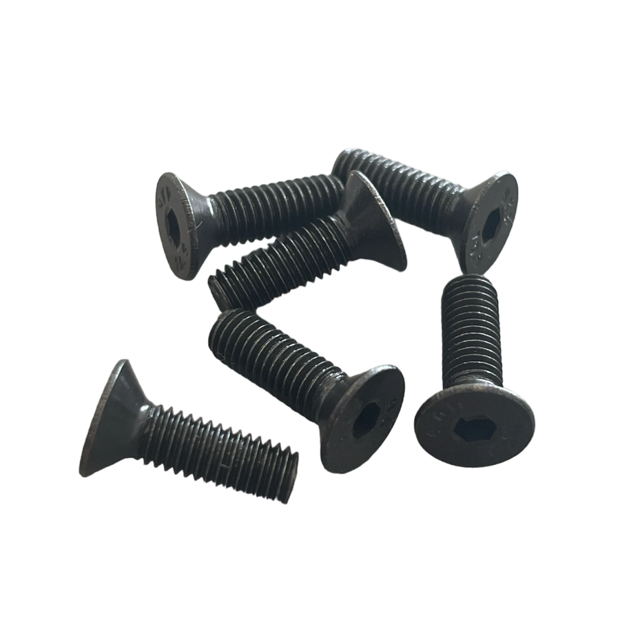 Replacement Handlebar Screws - All Foldable KickScooter Models