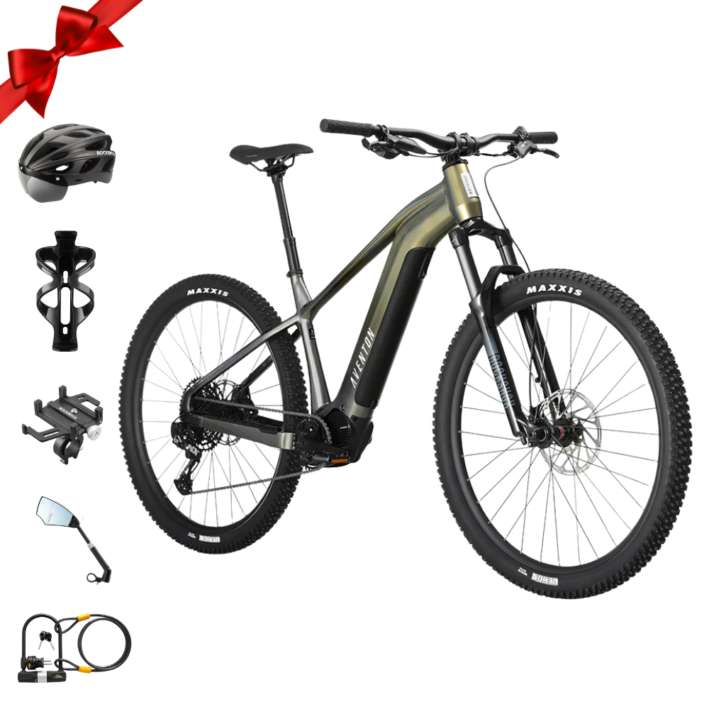 EZbike Canada : Ramblas Mountain E-Bike