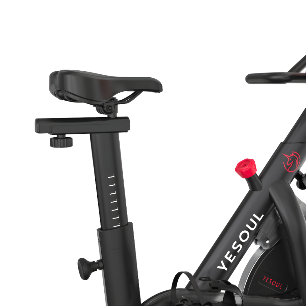 EZbike Canada : YESOUL G1M PLUS Exercise Bike