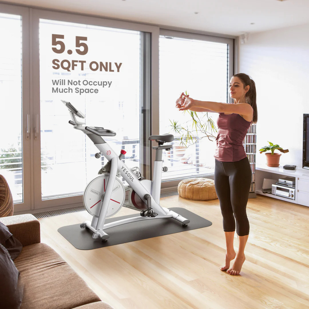 EZbike Canada : YESOUL S3 Indoor Exercise Bike