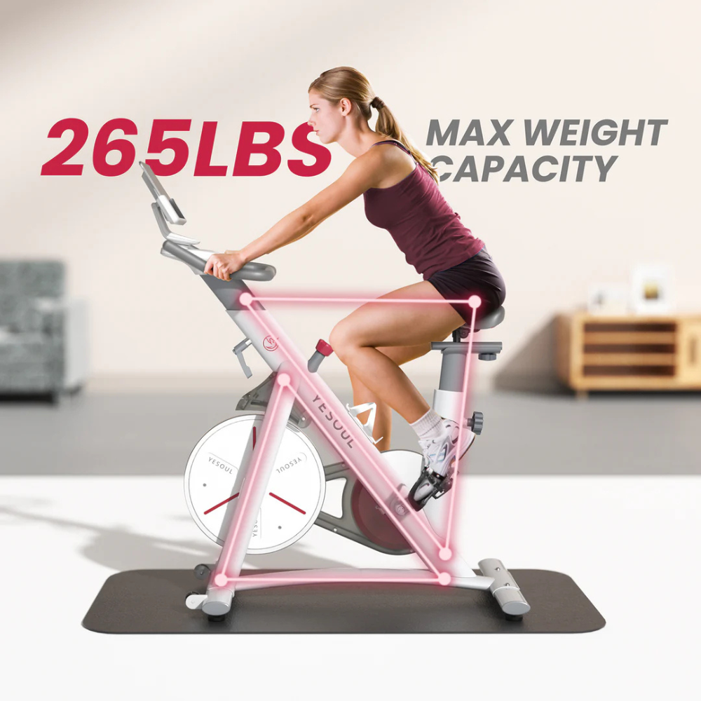 EZbike Canada : YESOUL S3 Indoor Exercise Bike