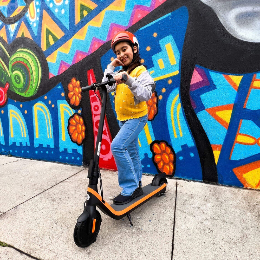 EZbike Canada : Refurbished Segway Ninebot C2 Electric Scooter